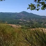 Il Pantanello Bed & Breakfast