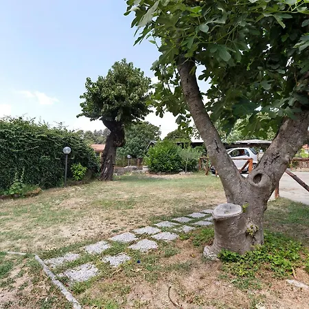 Casa Il Pantanello Rocca Di Papa