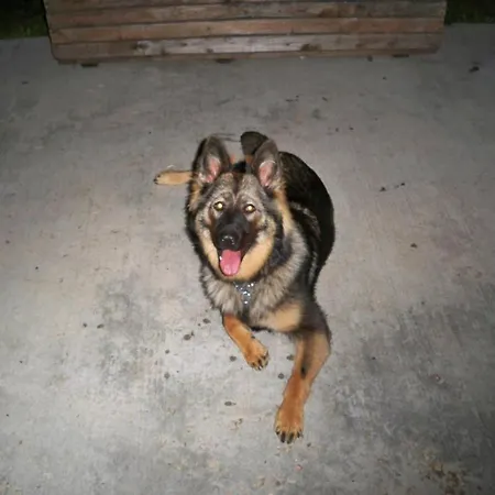 Casa Il Pantanello ゲストハウス ロッカ・ディ・パーパ